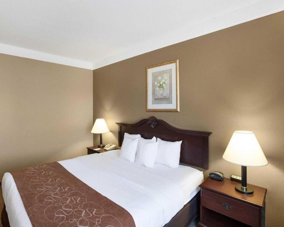 Comfort Suites Plainview Ngoại thất bức ảnh