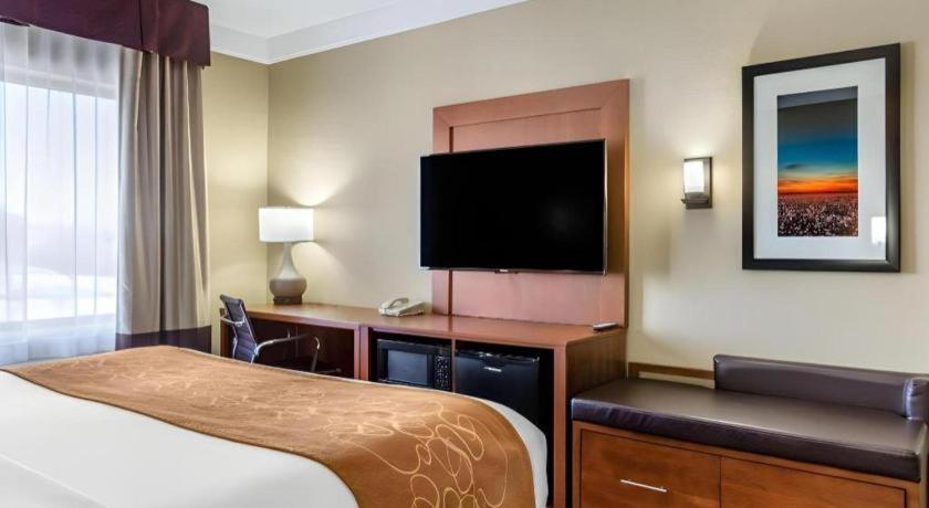 Comfort Suites Plainview Ngoại thất bức ảnh